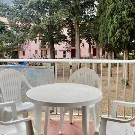 F2 Climatise Avec Garage, Animaux Bienvenus, Amelie-les-bains - Fr-1-703-179 *