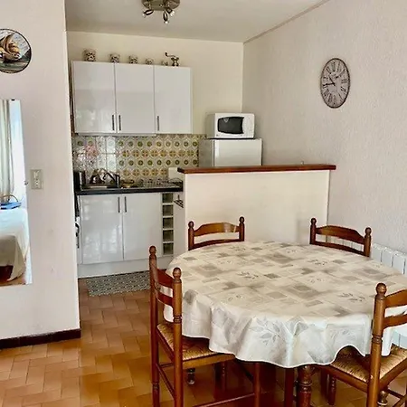 דירה F2 Climatise Avec Garage, Animaux Bienvenus, Amelie-les-bains - Fr-1-703-179