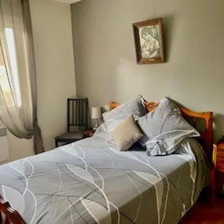 F2 Climatise Avec Garage, Animaux Bienvenus, Amelie-les-bains - Fr-1-703-179 *