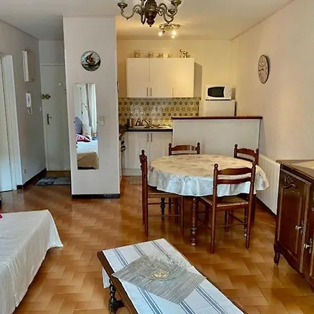 F2 Climatise Avec Garage, Animaux Bienvenus, Amelie-les-bains - Fr-1-703-179 * Amélie-les-Bains-Palalda