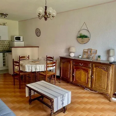 Appartement F2 Avec Balcon, Garage Et Climatisation - Proche Centre Et Cures - Animaux Bienvenus - Fr-1-703-179