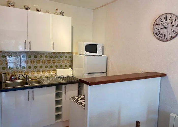 F2 Climatise Avec Garage, Animaux Bienvenus, Amelie-les-bains - Fr-1-703-179 Apartment *