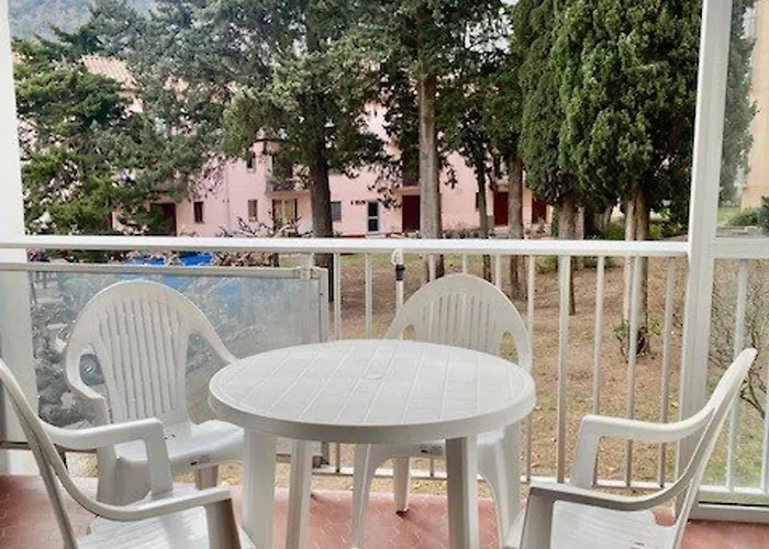 F2 Climatise Avec Garage, Animaux Bienvenus, Amelie-les-bains - Fr-1-703-179 *