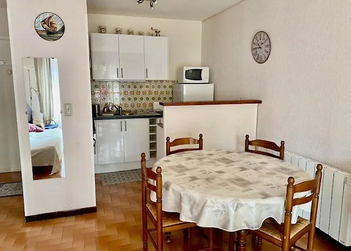 Apartment F2 Climatise Avec Garage, Animaux Bienvenus, Amelie-les-bains - Fr-1-703-179
