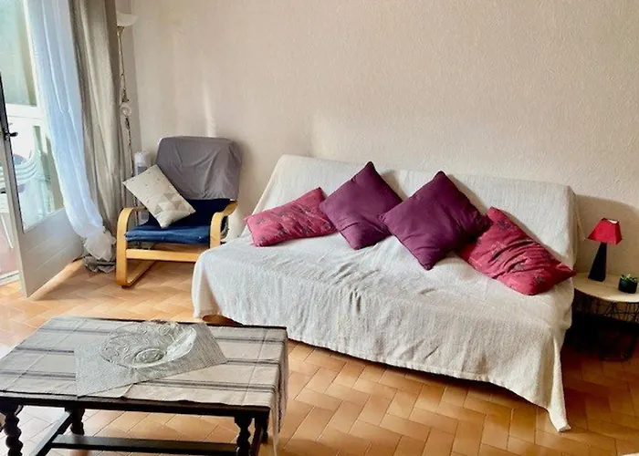 F2 Climatise Avec Garage, Animaux Bienvenus, Amelie-les-bains - Fr-1-703-179 Apartment *