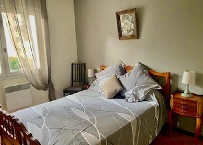 F2 Climatise Avec Garage, Animaux Bienvenus, Amelie-les-bains - Fr-1-703-179 *