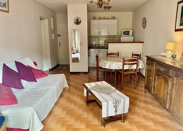 F2 Climatise Avec Garage, Animaux Bienvenus, Amelie-les-bains - Fr-1-703-179 Amelie-les-Bains-Palalda