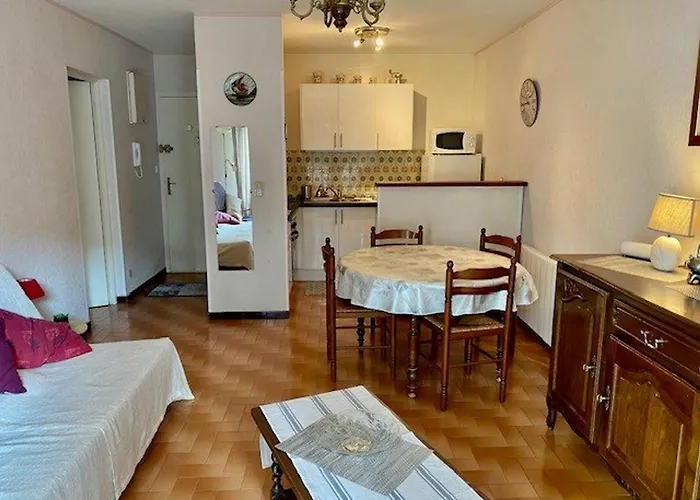 F2 Climatise Avec Garage, Animaux Bienvenus, Amelie-les-bains - Fr-1-703-179 * Amelie-les-Bains-Palalda